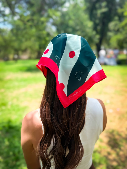 Pañuelo Bosque Austral