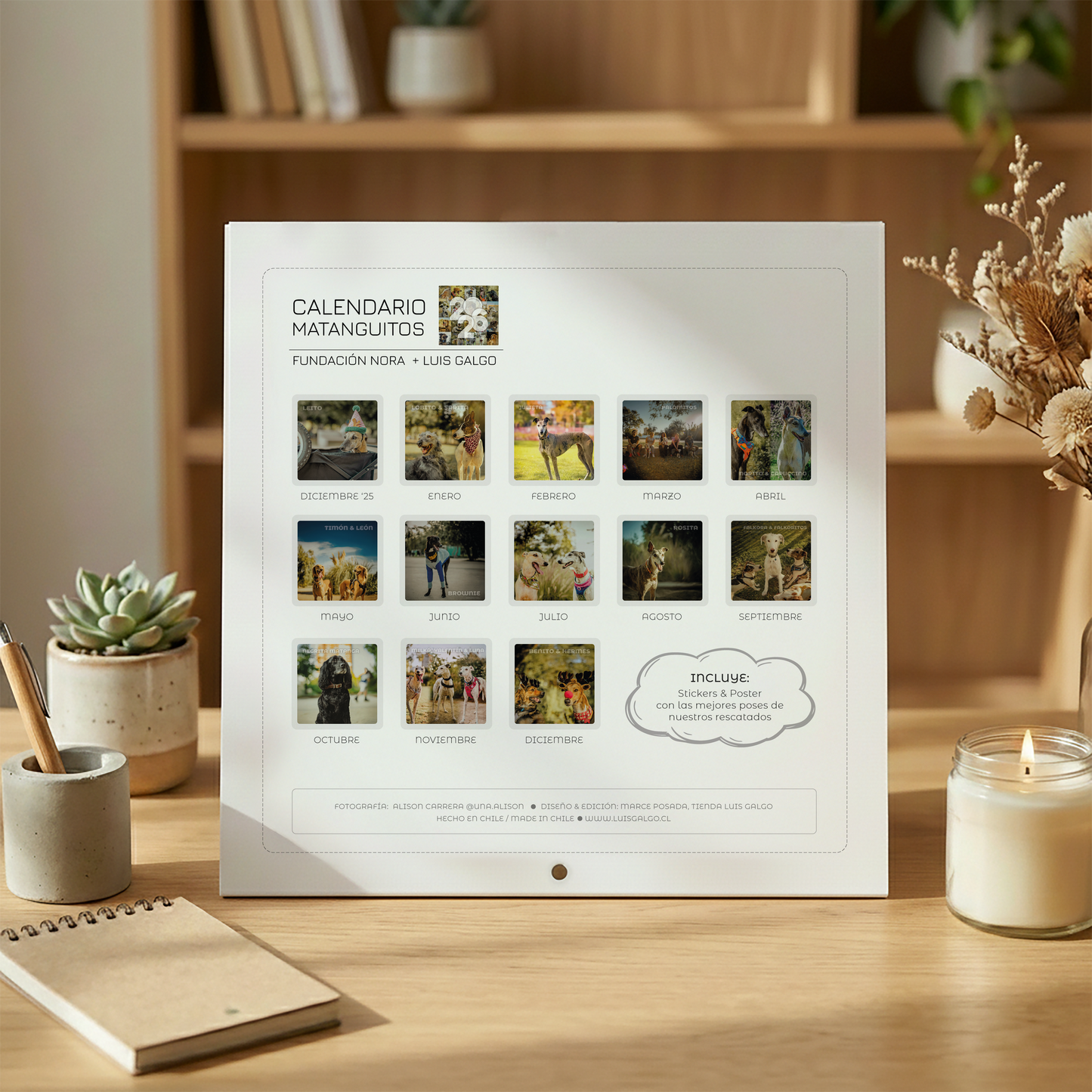 Calendario Matanguitos 2026