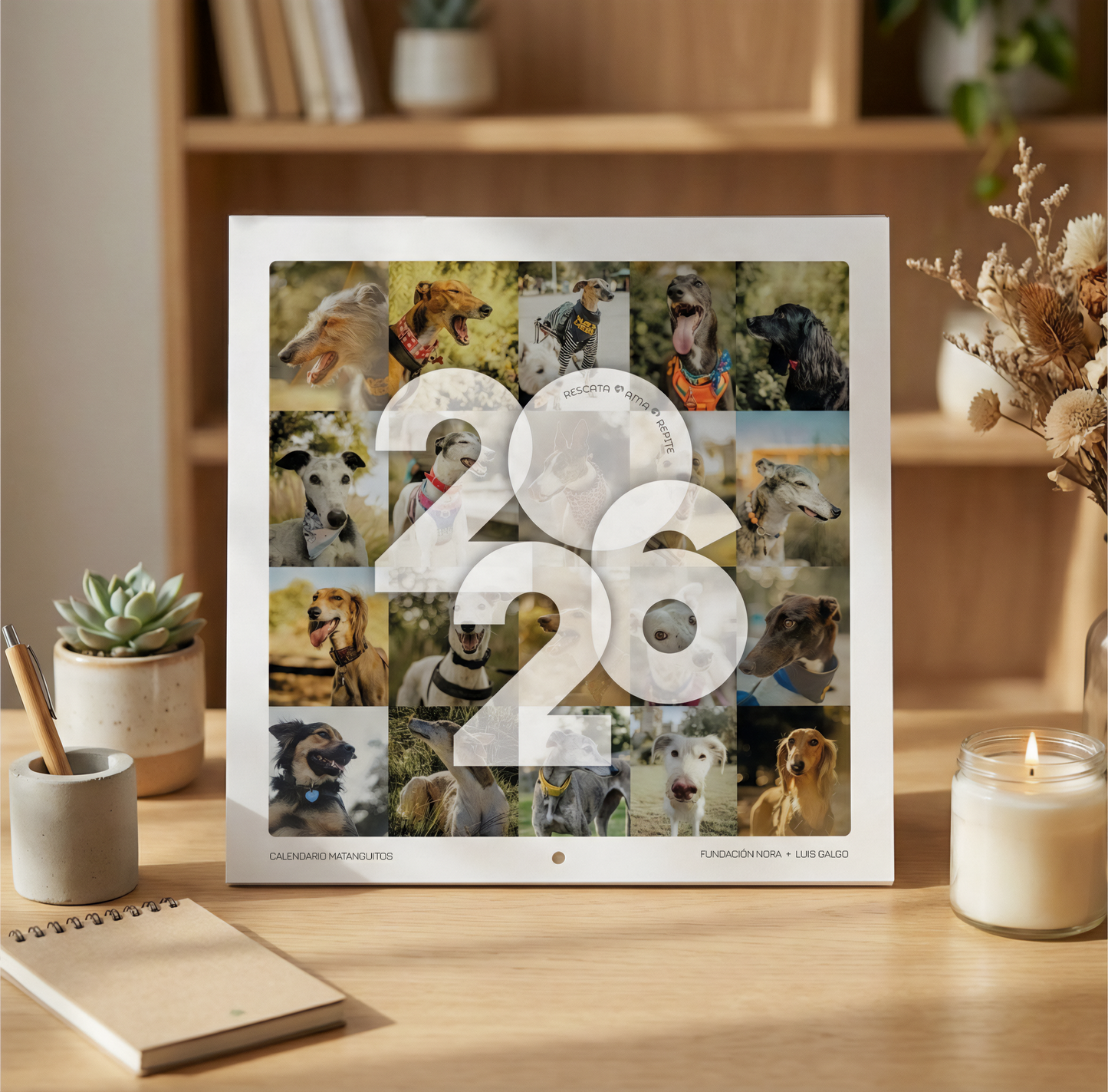 Calendario Matanguitos 2026